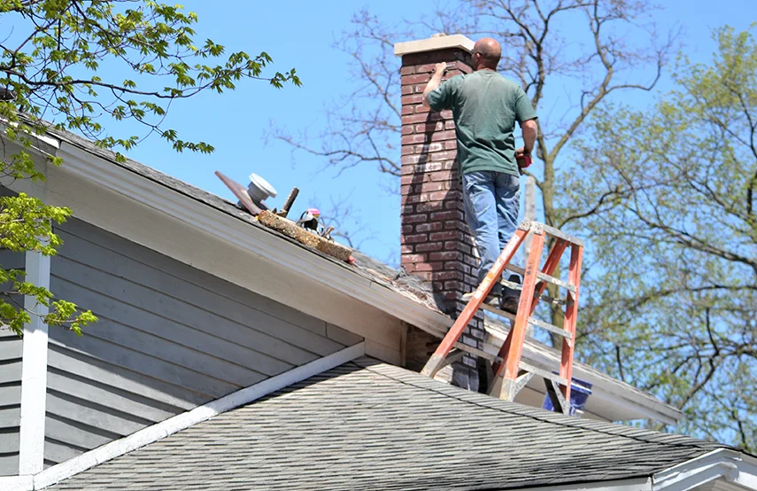 Chimney & Fireplace Inspections Services in Winter Garden, FL